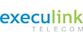 Logo: execulink execulink